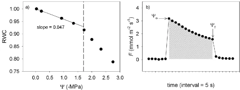 Figure 5.1 Illustration of the two measures of leaf capacitance for a typical woody angiosperm (a), rehydration plots was determined by fitting an exponential curve through the data points and (indicated by the shaded area beneath the data points) taken up