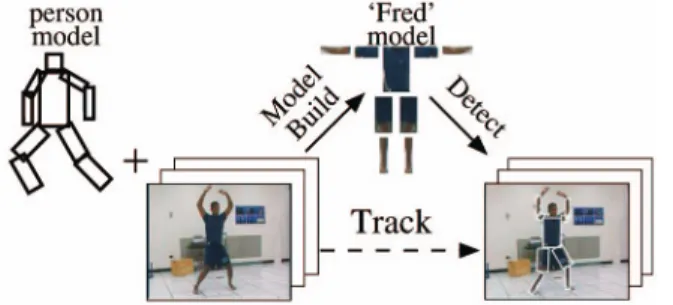 Fig. 3. Our person-model (a) is a tree pictorial structure. This model is parameterized by probability distributions capturing the geometric arrangement of parts PðP t i jP t j Þ and local part appearances PðI t jP t i ; C i Þ (the vertical arrows into the