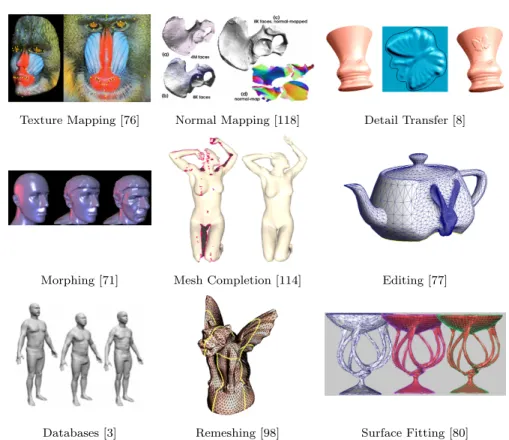 Fig. 1.1 Parameterization applications.