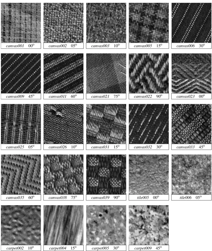 Fig. 5. 128x128 samples of the 24 textures used in Experiment #2 at particular angles.
