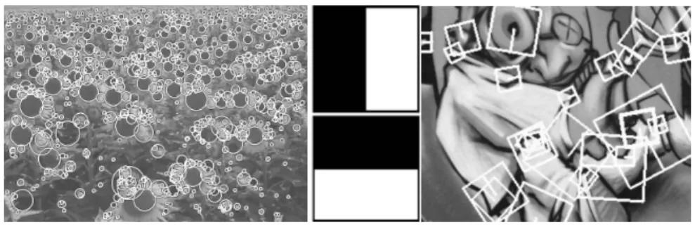 Fig. 2. Left: Detected interest points for a Sunﬂower ﬁeld. This kind of scenes shows clearly the nature of the features from Hessian-based detectors