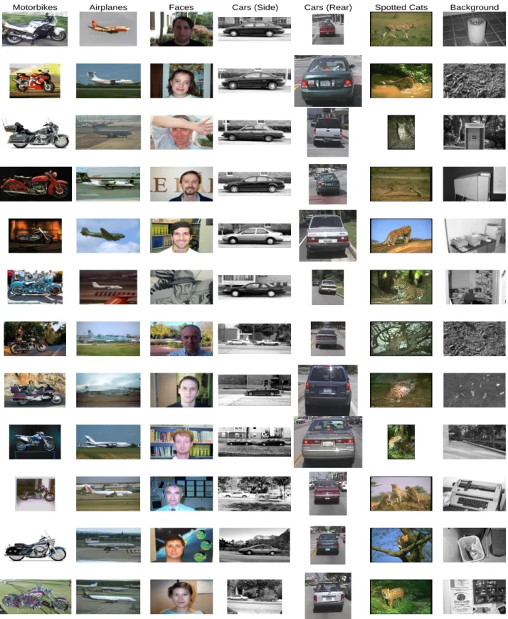 Figure 1: Some sample images from the datasets. Note the large variation in scale in, for example, the cars (rear) database
