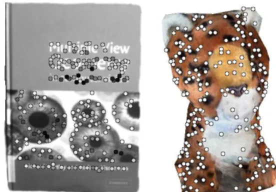 Figure 3. The most stable keypoints selected by our method on the book cover and the teddy tiger.