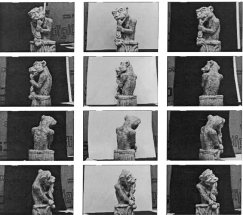 Figure 7. Nine of sixteen 486 × 720 RGB images of a gargoyle stone sculpture. The sequence corresponds to a complete circumnavigation of the object, performed in approximately 22.5 degree increments.