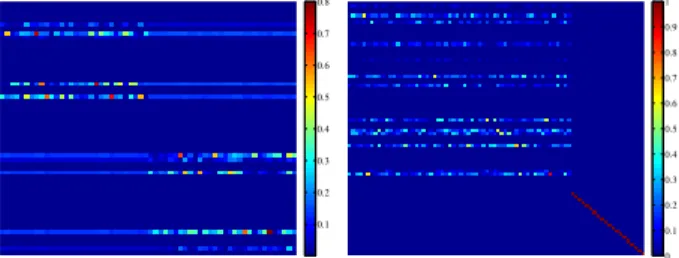 Figure 3. Left: coefficient matrix corresponding to data from two sub- sub-spaces. Right: coefficient matrix corresponding to a dataset contaminated with outliers