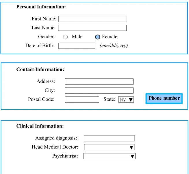 Figure 1: Patient information entry data form.
