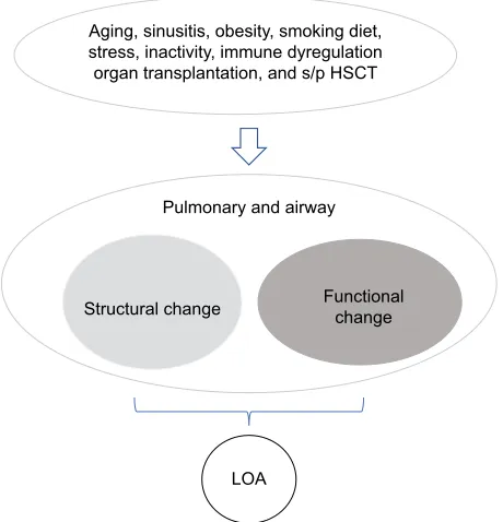 Figure 1 Pathophysiology of LOA. Structural or functional changes in the airway result from many factors including aging.Abbreviations: s/p HSCT, stem/progenitor hematopoietic stem cell transplantation; LOA, late-onset asthma.