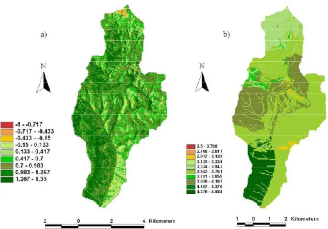 Figure 2.15: Example of how comparison between (a)  raw NDVI maps were made with (b) LAI map 