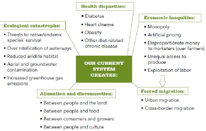 Figure 2.1 Consequences of the Current Food System 