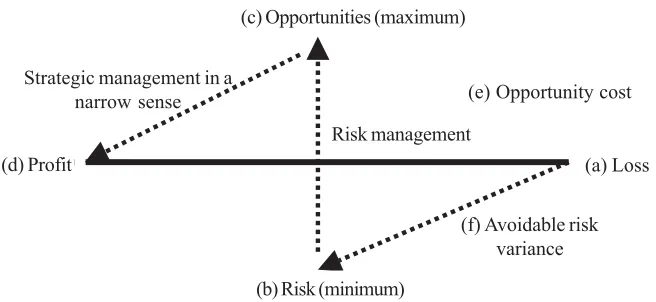 Figure 4: Strategic and Risk Management