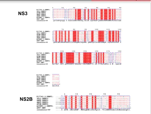 Figure 1: The sequence comparison of the protease NS3 and NS2B