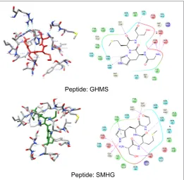 Table 3: Interaction details of the peptides with protease