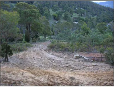 Figure 31. View of a section of the disturbance at the Wyre Forest Road study site. 