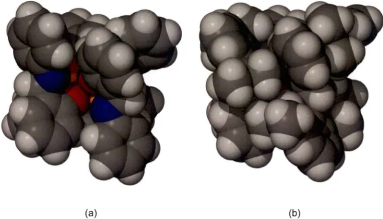 Figure 2-18: Space filling representations of the molecular structure of the complexes 
