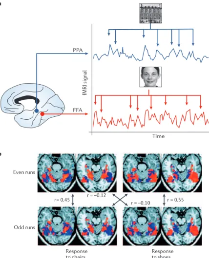 Figure 1 | Decoding visual object perception from fMRI responses. a | Decoding the  contents of visual imagery from spatially distinct signals in the fusiform face area (FFA,  red) and parahippocampal place area (PPA, blue)