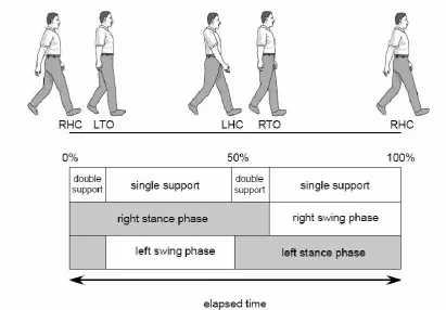 Figure 1-1: Time dimensions of the gait cycle. 