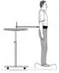 Figure 2-6: PPA - Postural sway 