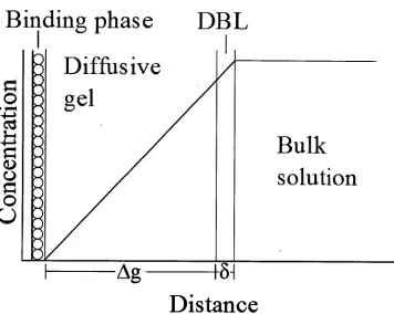 Figure 1.1 — A schematic representation of DGT theory and device structure 