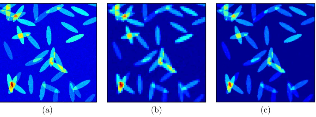 Fig. 2.3. Fourier optics imaging experiment. (a) The “high-resolution” image we wish to acquire