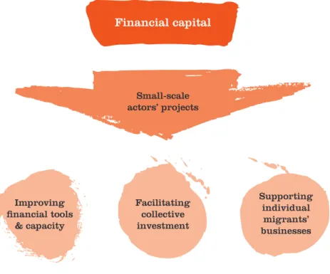 Figure 6: Actions enhancing remittances as development tools 
