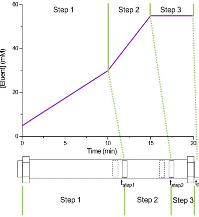 Figure 4.5 Schematic showing how retention under isocratic and gradient eluent steps can be joined together 