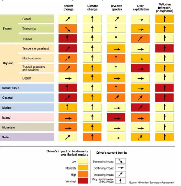 Figure 2.13  Main direct drivers of change in biodiversity and ecosystems