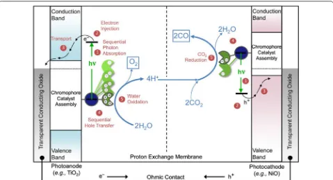 Fig. 1 Schematic diagram for a tandem DSPEC for solar-driven  COduced with permission from Ref