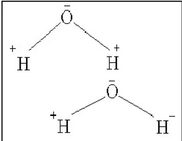 Figure 10.1 The structure of water molecules and why  they are “sticky”.