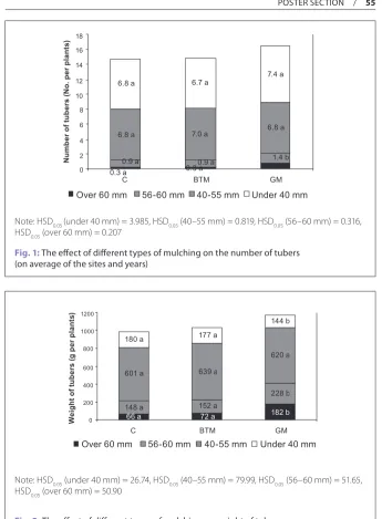 fig. 2: The effect of different types of mulching on weight of tubers  (on average of the sites and years