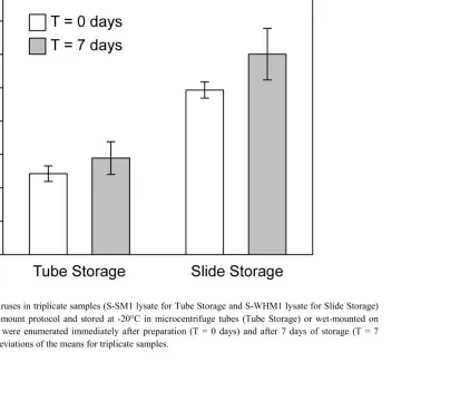 Figure 2.4 Concentration of viruses in triplicate samples (S-SM1 lysate for Tube Storage and S-WHM1 lysate for Slide Storage) prepared according to the wet-mount protocol and stored at -20°C in microcentrifuge tubes (Tube Storage) or wet-mounted on slides 