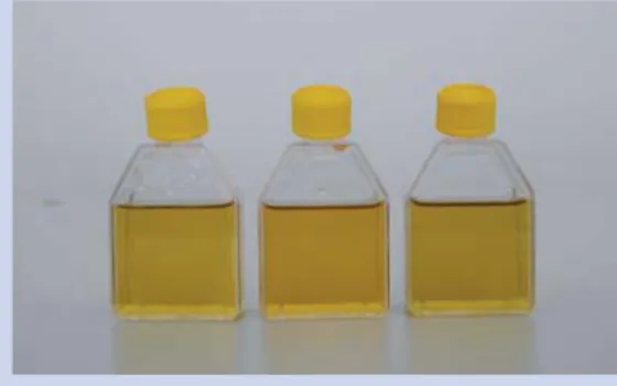 Figure 2: CO 2  was added by blowing air into the bottles. The  yellow colour indicates that the water became more acidic