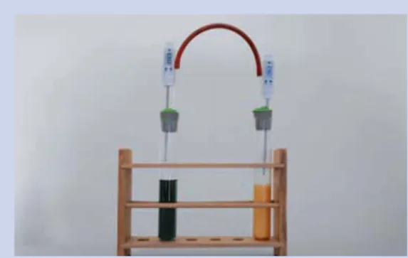 Figure 5: Change of colour after the addition of the ﬁrst Figure 3: Measuring the temperature.