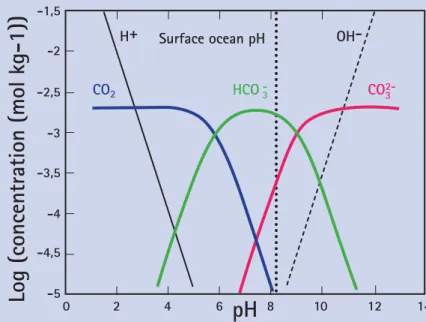 Figure 4: If the amount of dissolved CO 2  increases, the  pH is low. At higher pH, bicarbonate and carbonate are  the dominant species