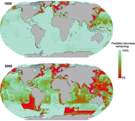 Fig. 4. Estimated global ﬁsheries biomass from an Ecotroph model (in 1950 compared to 2000
