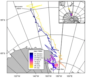 Figure 2.1: Raw Argos estimates for a Macquarie Island elephant seal. The lineconnecting the points is coloured from blue through purple to yellow in order relativeto the time of each position