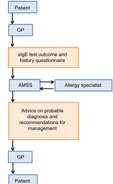 Figure 1 schematic representation of the allergy management support system (AMss).Abbreviations: GP, general practitioner; sIgE, specific immunoglobulin E.