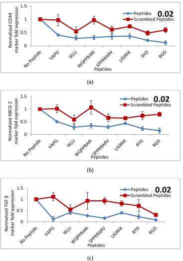 Figure 2.5 Comparison of  normalized CD44, ABCG2, and TGF β expressions of the tumor cells encapsulated in PEGDA gels with 2% concentration of different conjugated peptides