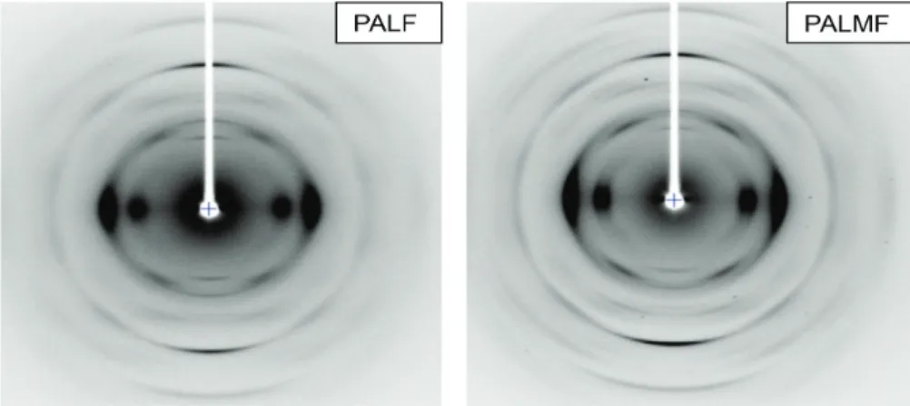 FIGURE  13.  WAXS  patterns of hand scraped  PALF  (left) and that after washing with 10% w/v  NaOH solution ( PALMF ) (right)