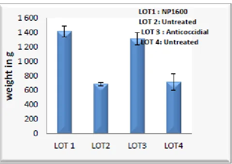 Fig. 5: Variation in weight of turkeys in treated batches And untreated. 