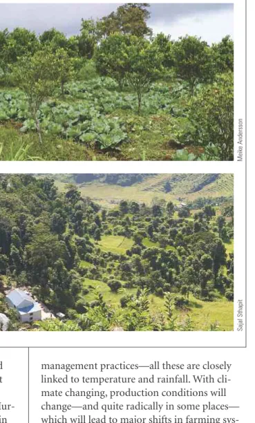 Figure 4. Sustainable Development Benefits Motivating Climate Action