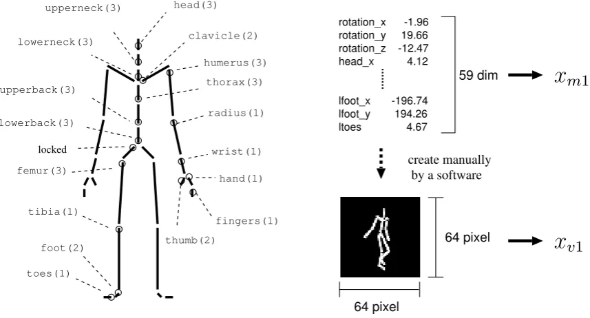 Figure 4: Left: Joints and degrees of freedom of the body skeleton in the motion patterns