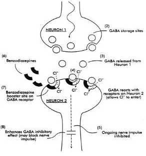 Figure 4: Action of benzodiazepines at a synapse131  