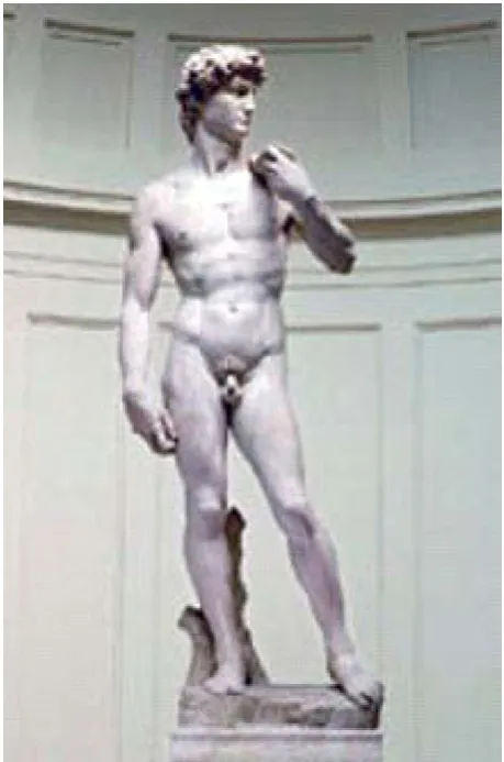 Figure 3: Michelangelo Buonarroti, David, 1504, marble. 