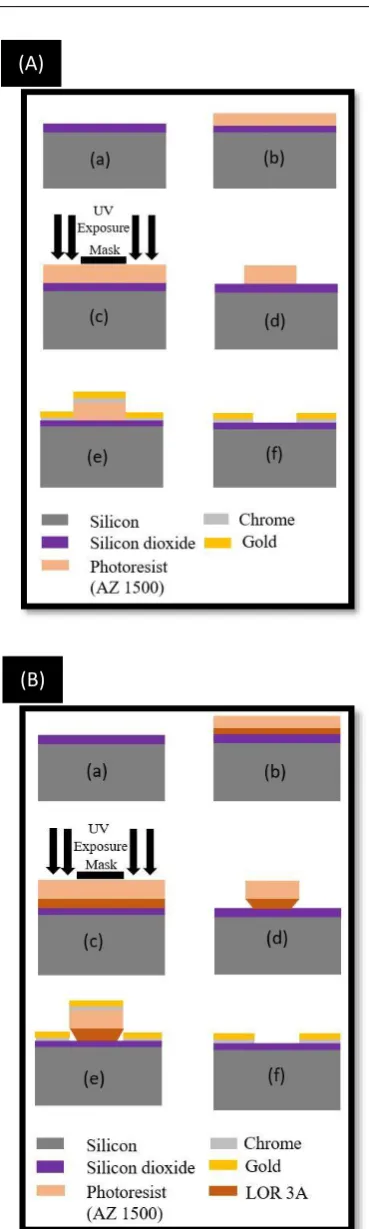 Figure 1. (A) Lift off process for gold metallization using single 