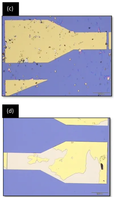 Figure 2. (a) Pattern from optimized lift off technique 