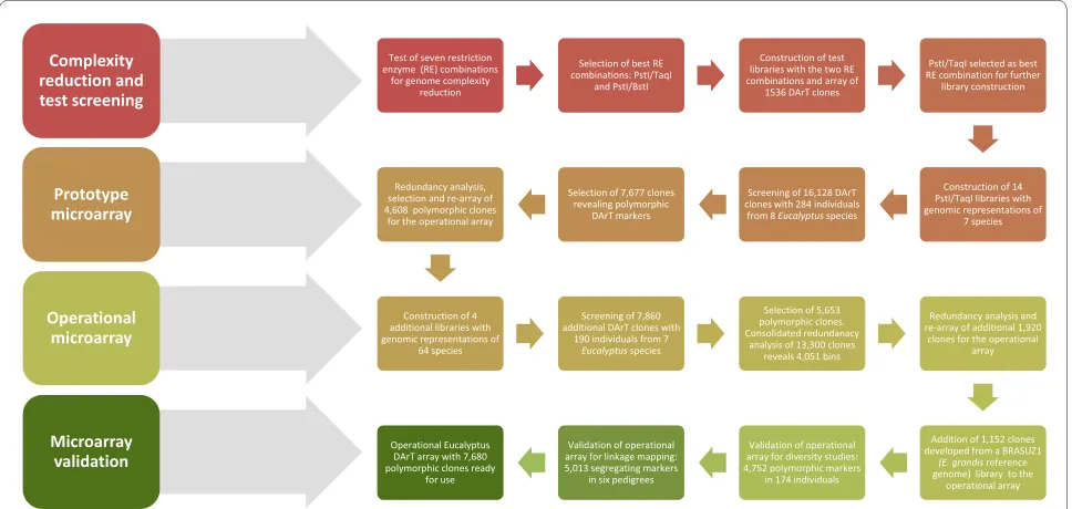 Figure 1 Flowchart of the development of the DArT genotyping microarray for Eucalyptus.