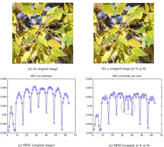 Figure 2. A comparison of SRSC features from an original JPEG image and three cropped JPEG images
