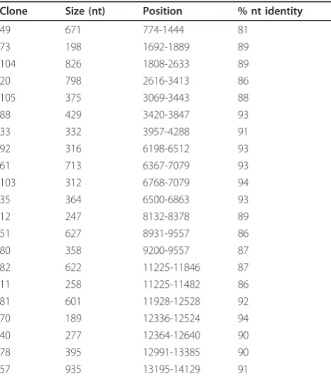 Figure 1 PRRSV genome and position of the contigssequences obtained in the random PCR cloning approach wereassembled in six contigs (with sizes between 622 and 2072 bp)