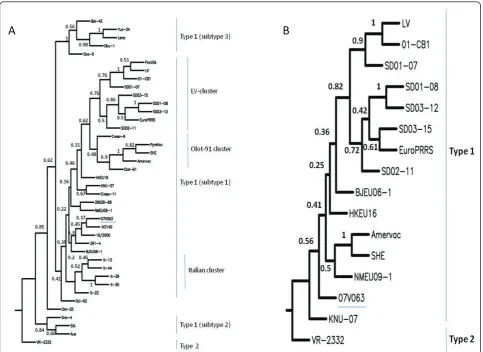 Figure 3 Phylogenetic relationship of 07V063. Phylogenetic trees were derived from multiple sequence alignments using Phylip v3.67.Bootstrapping was performed 500 times using SEQBOOT
