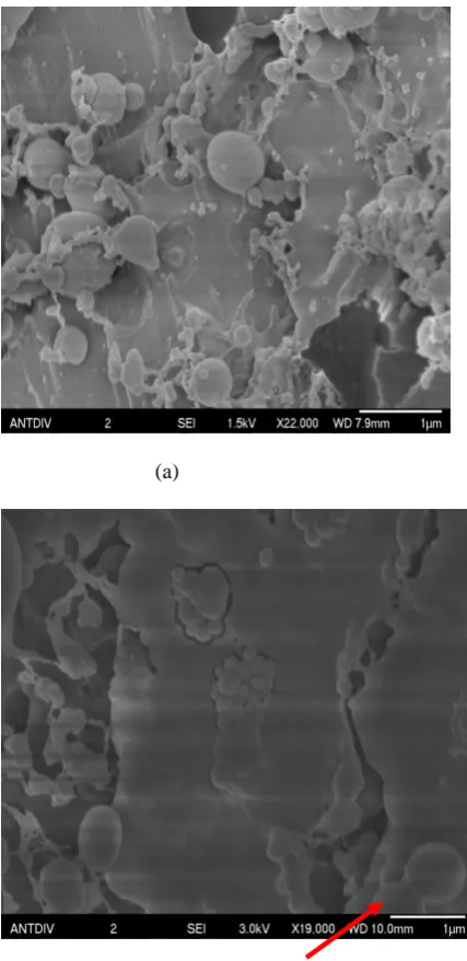 Figure 5:  Cryo-SEM images of Pitch sample.  (a) Spherical particle less than 1µm mostly is clearly visible